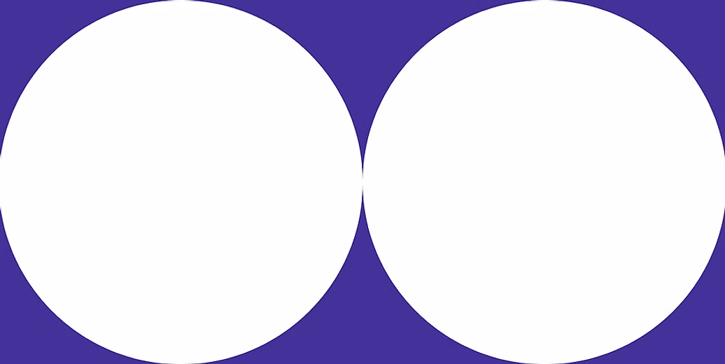 2039.webp
