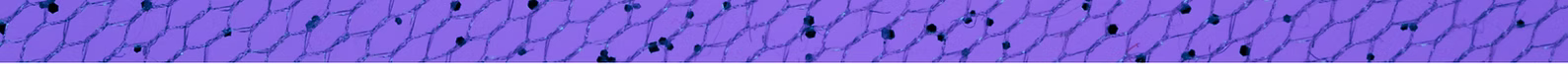color - 2.png